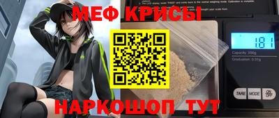 гашик Моздок