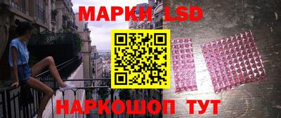 гашик Моздок