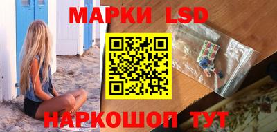 гашик Моздок