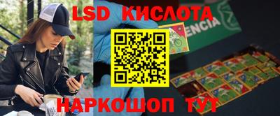 гашик Моздок