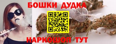 гашик Моздок