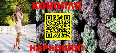 гашик Моздок