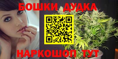гашик Моздок